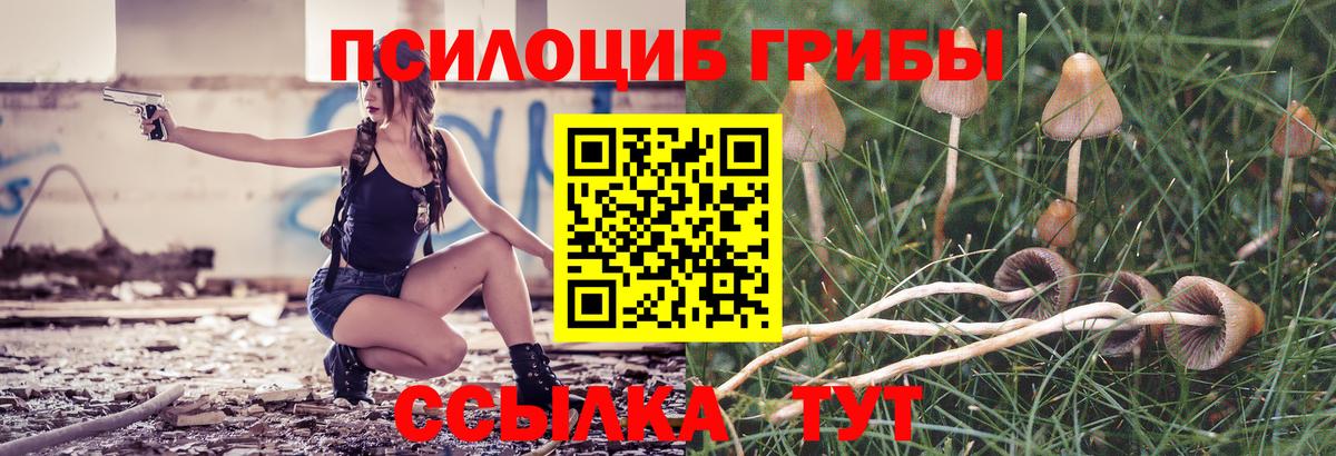 Галлюциногенные грибы мицелий  Псилоцибиновые грибы ЛСД  Вход с VPN  Буйнакск 