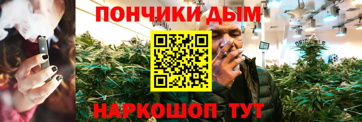 Шишки марихуана марихуана Буйнакск